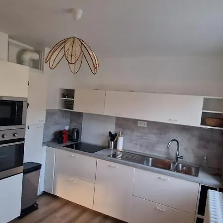 Rdc 70 M Plein Centre-ville ! Apartment Gerardmer